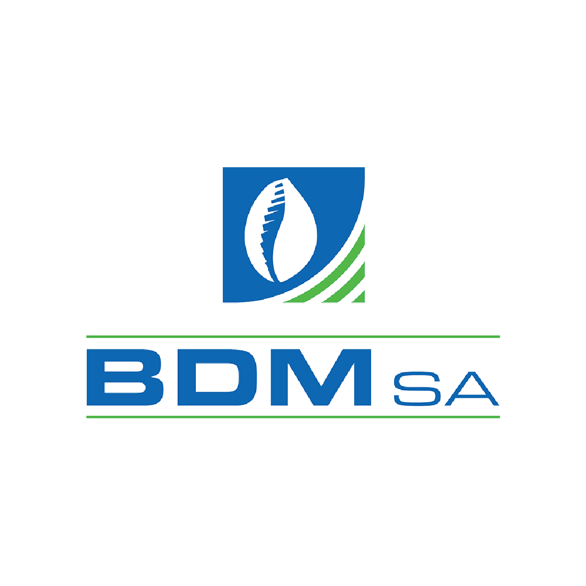 bdm